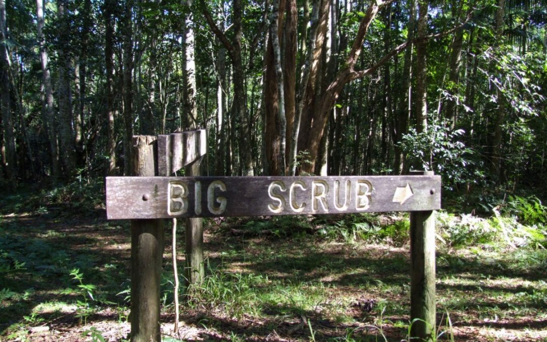 Who said that? The origins of the ‘Big Scrub’ names you hear today