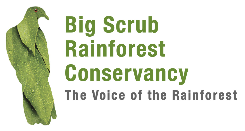 Big Scrub Landcare is changing its name to Big Scrub Rainforest Conservancy