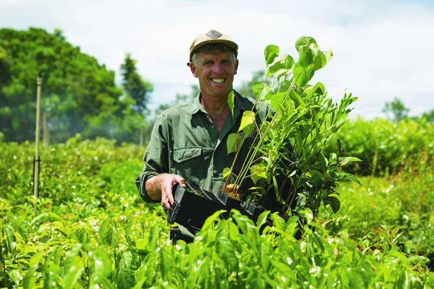 Mark Dunphy holding rainforest tree seedlings in nursery