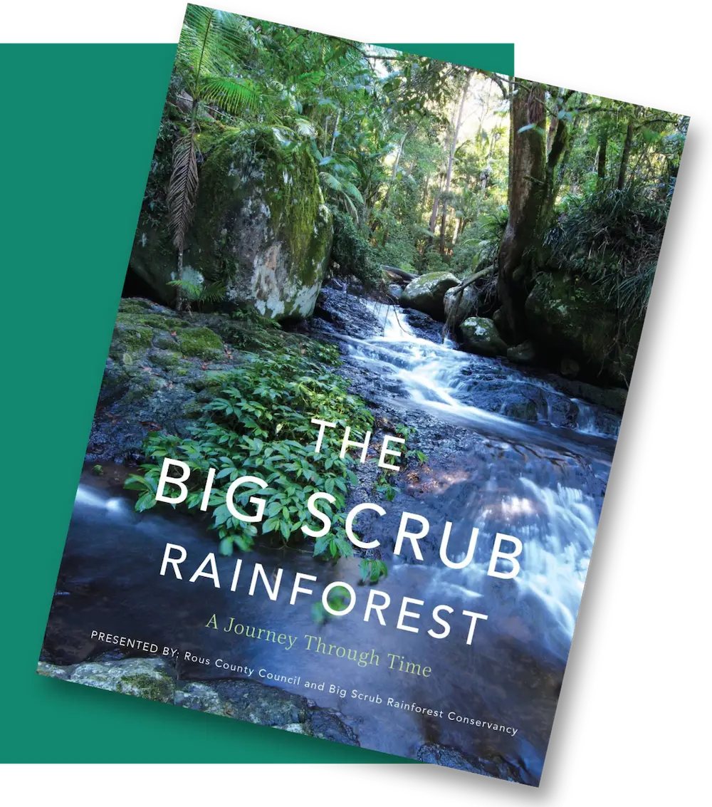 Your Essential Guide to the Big Scrub: A Journey through Time