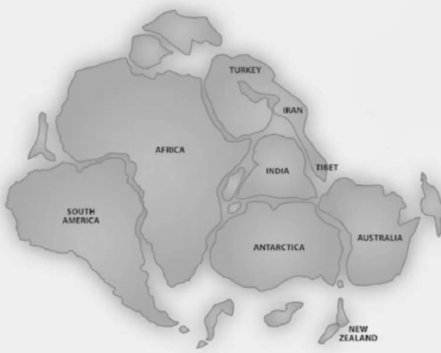 About the Big Scrub Timeline 2