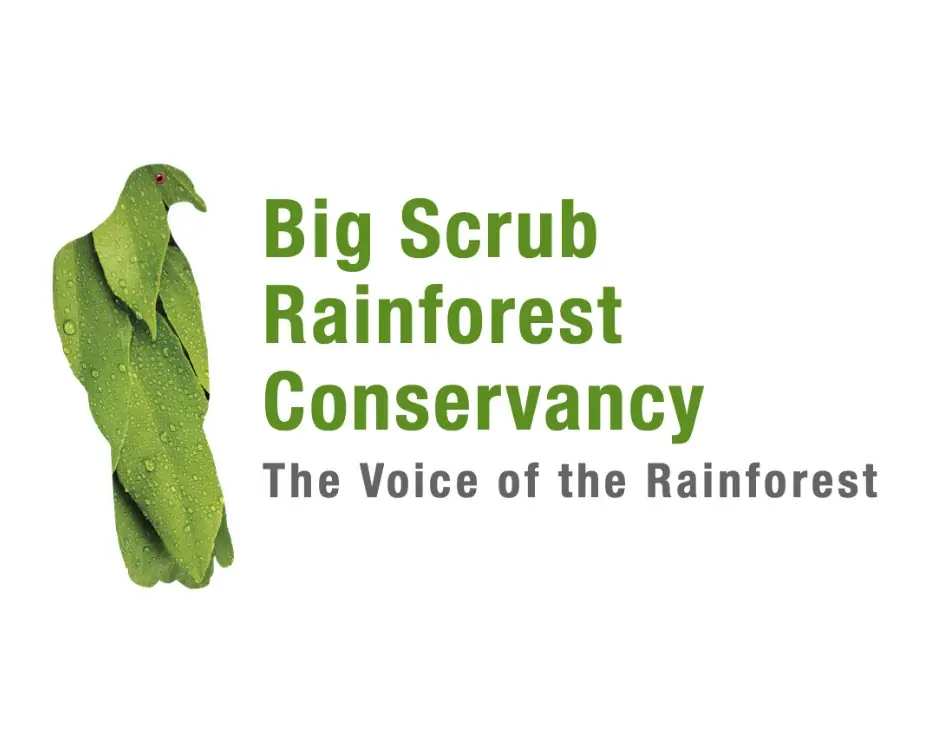 Big Scrub Rainforest Conservancy