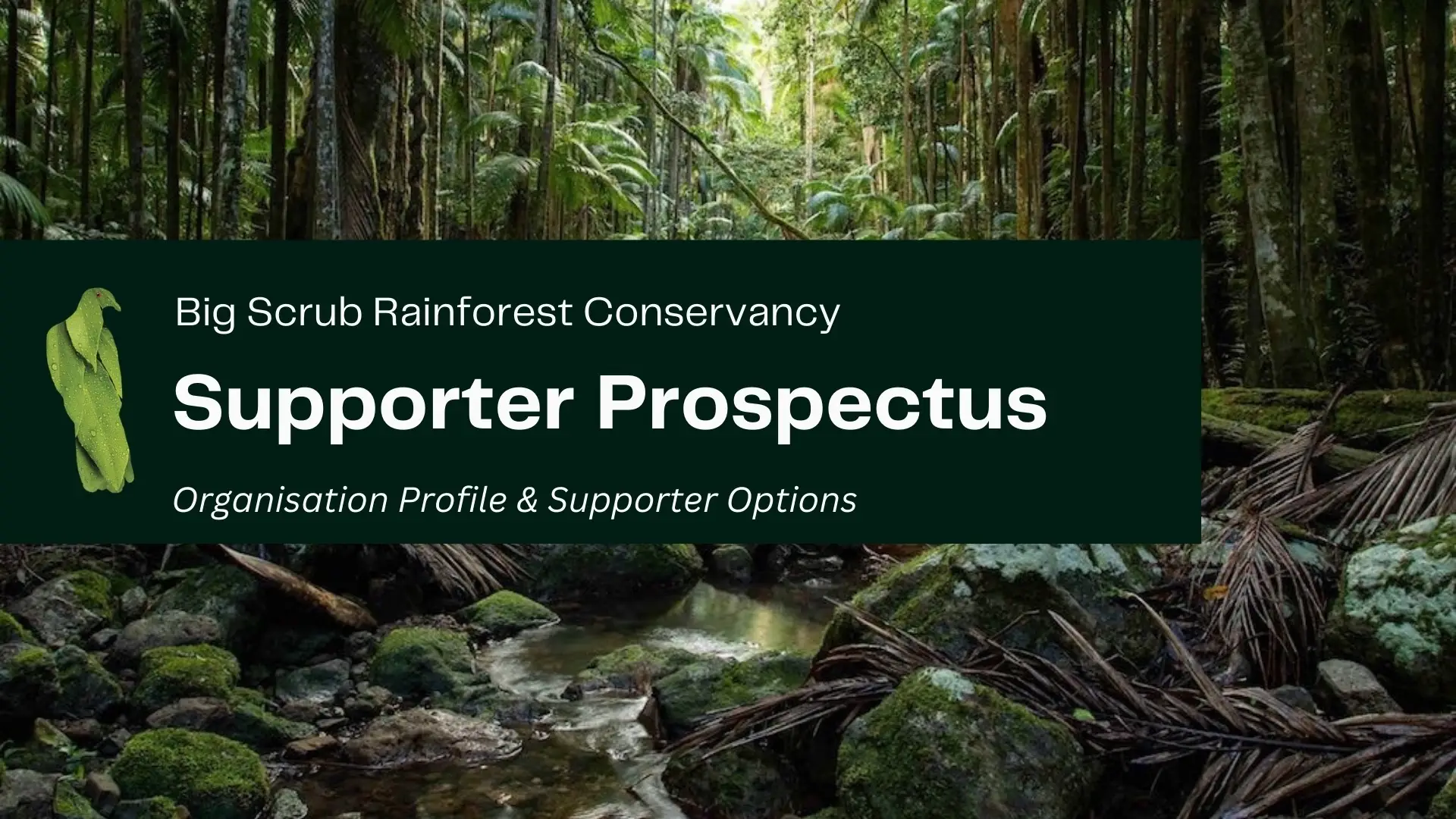 BSRC-Partnership-Prospectus_FINAL.pdf - 1