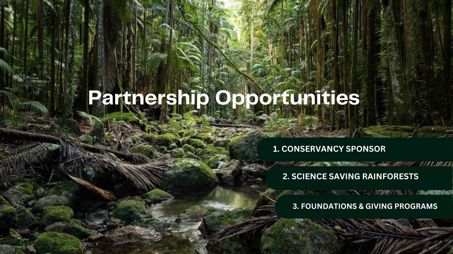 BSRC-Partnership-Prospectus_FINAL.pdf - 10