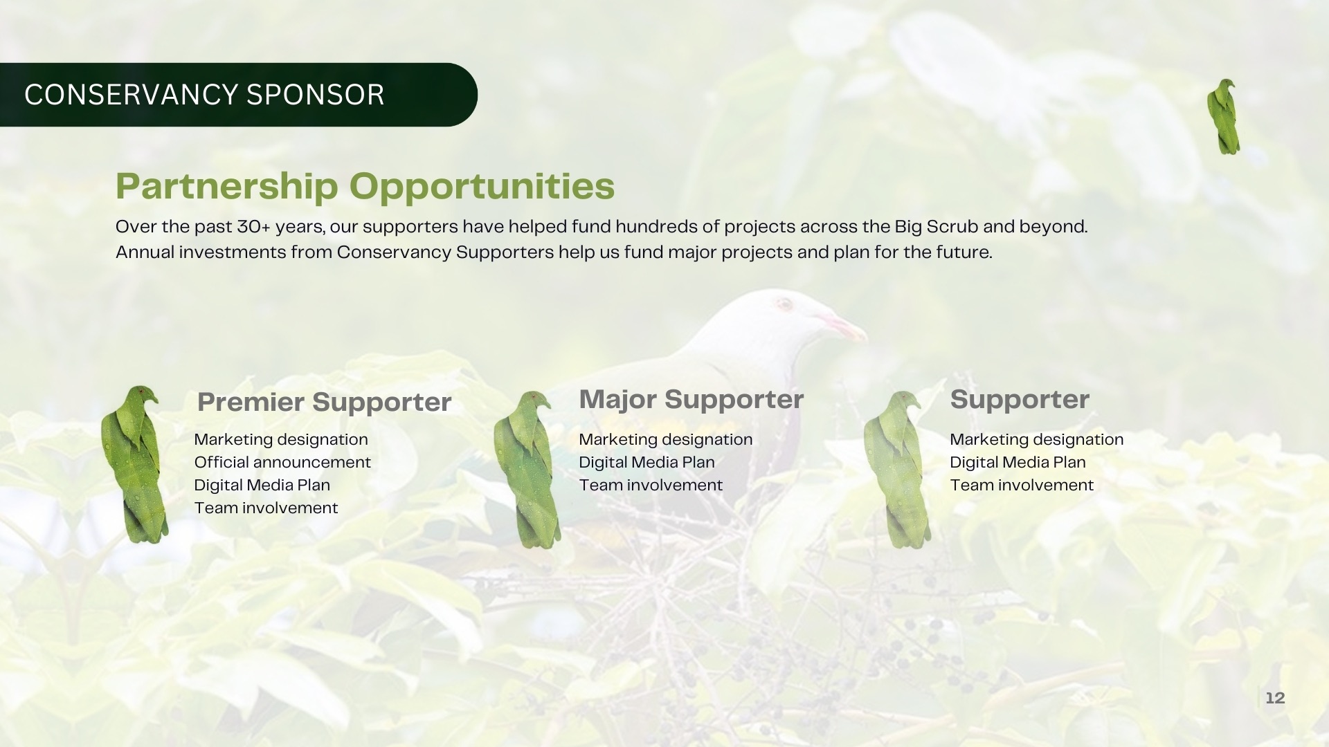 BSRC-Partnership-Prospectus_FINAL.pdf - 11