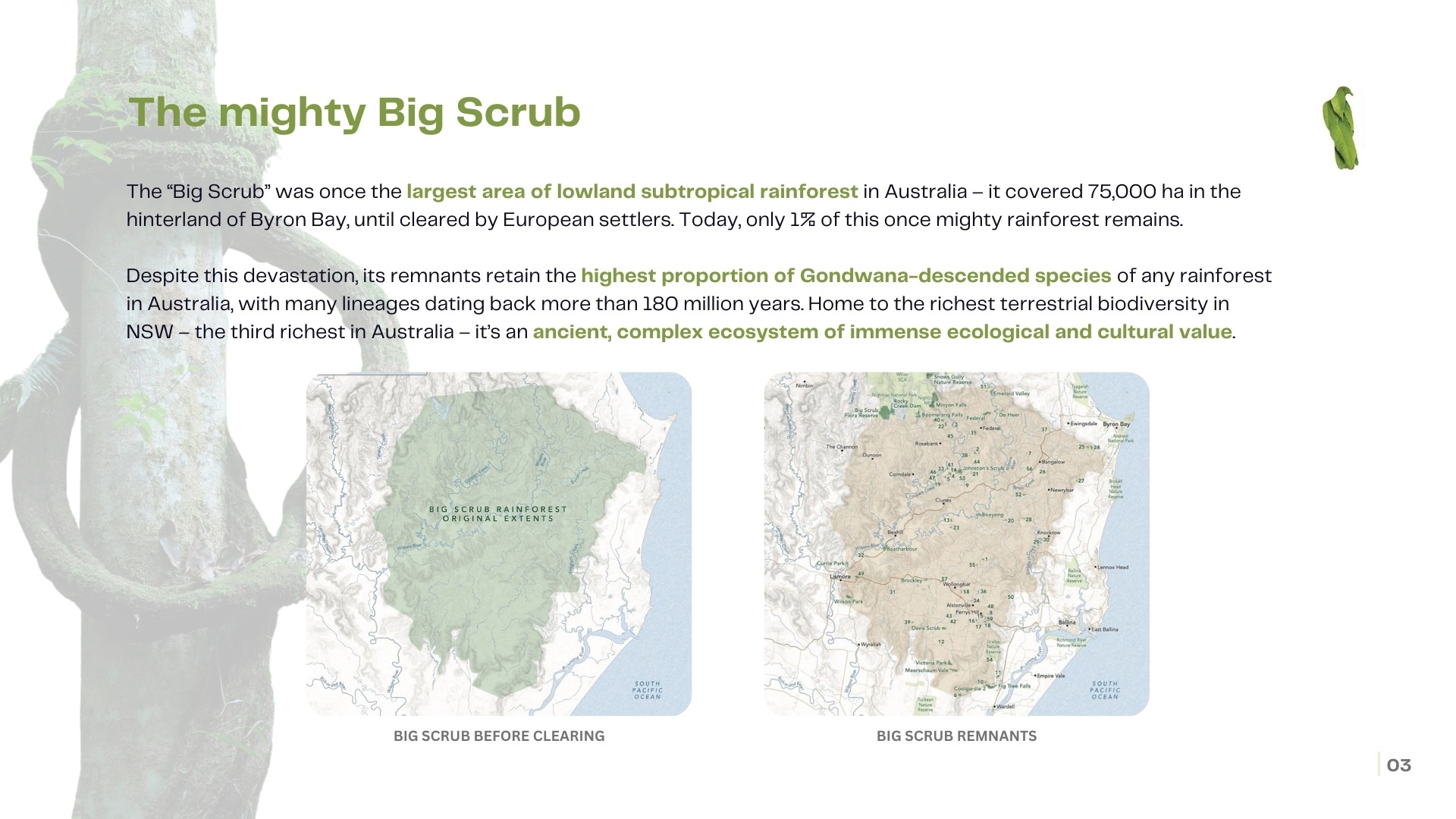 BSRC-Partnership-Prospectus_FINAL.pdf - 4