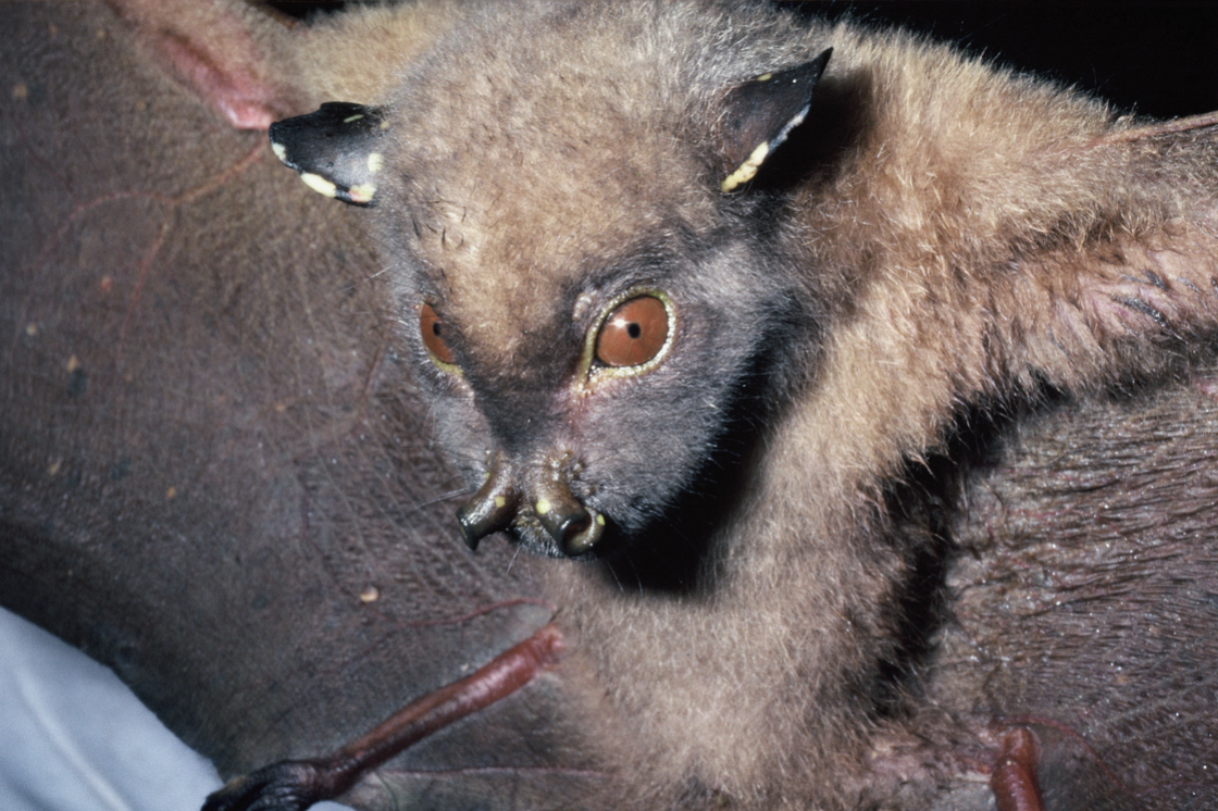 Screenshot 2026-04-13 at 2.05