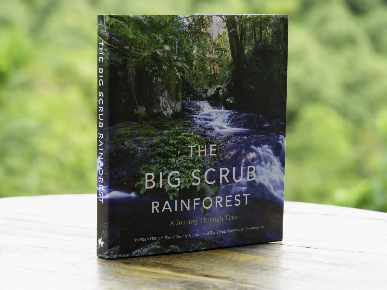 Big Scub Rainforest Conservancy BrookFarm-1115-2